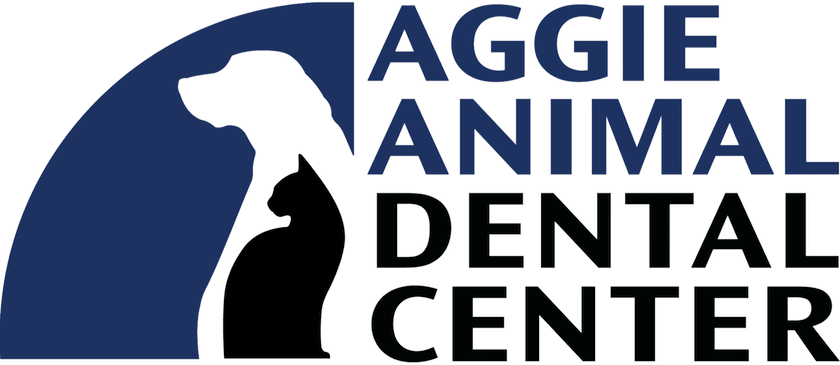 Aggie Animal Dental Center