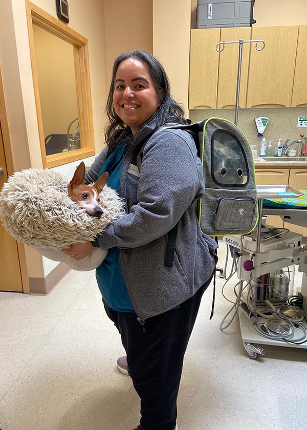 A vet staff wearing a pet carrier bag holding a dog