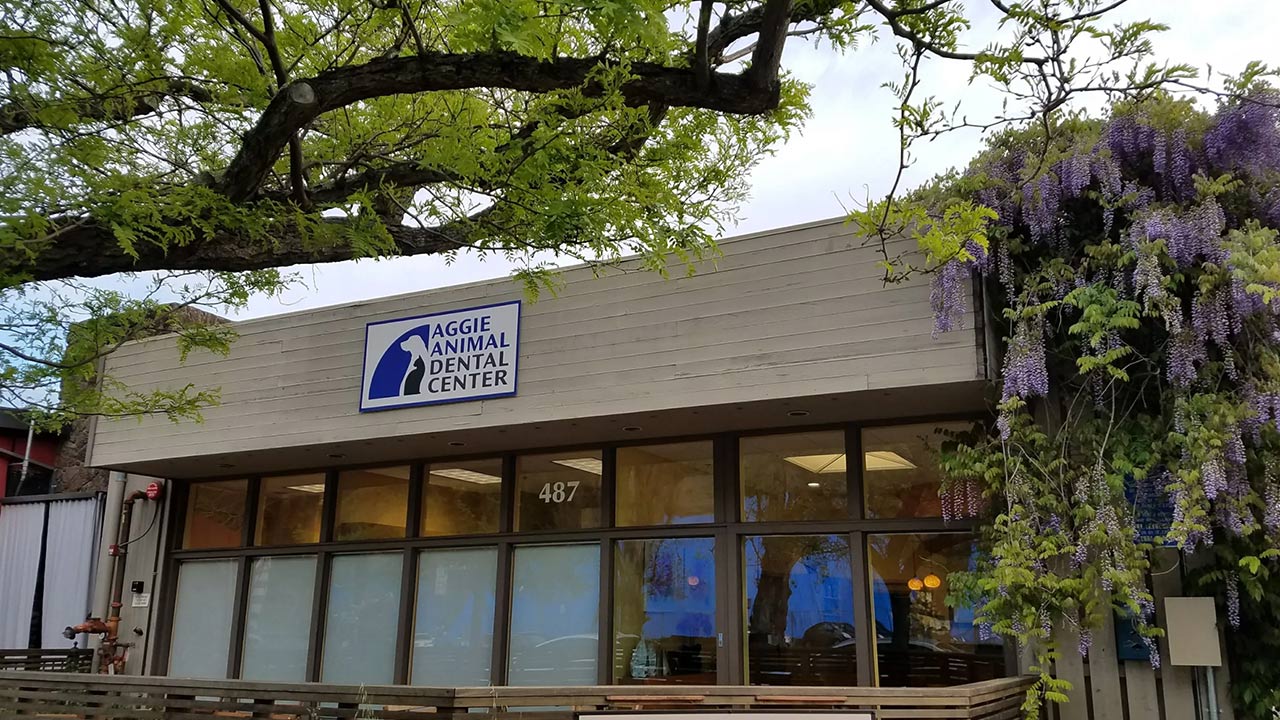 Aggie Animal Dental Center Building