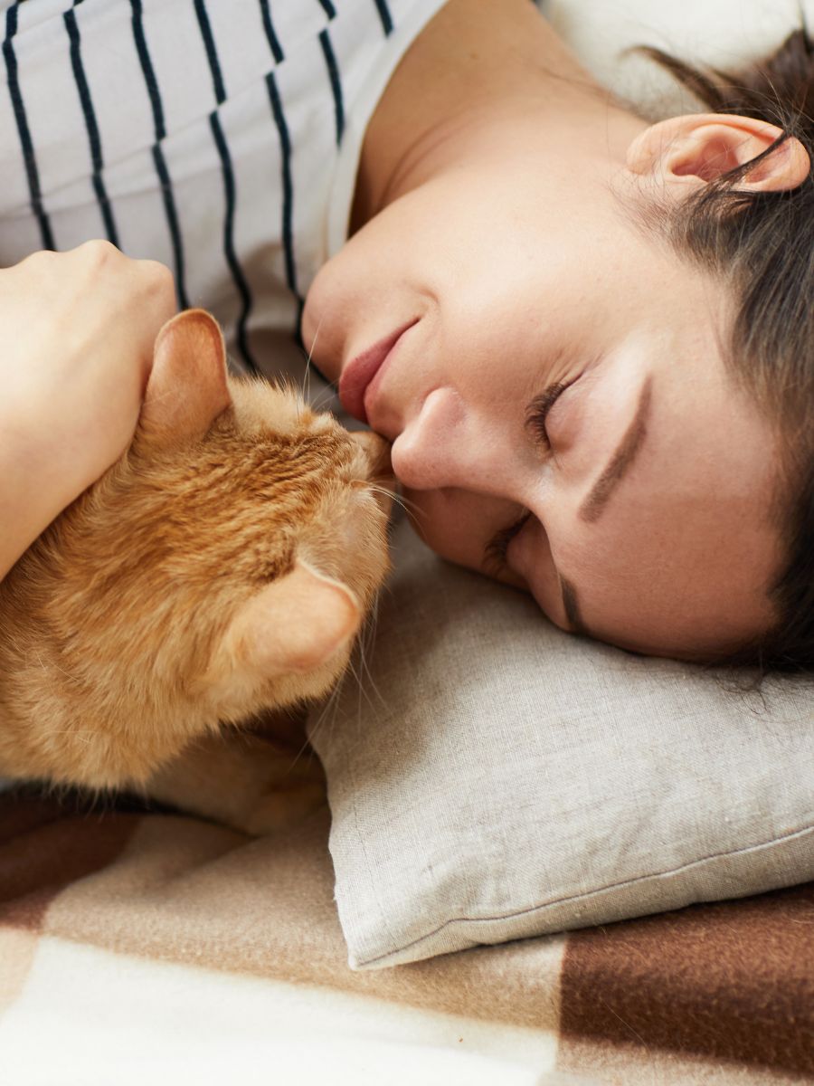  A woman resting on a bed with her cat